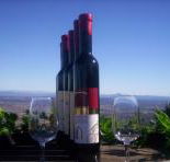 Mount Tamborine Winery  Homestead - Accommodation Fremantle
