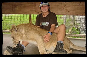 Cairns Wildlife Safari Reserve - Accommodation Fremantle 1