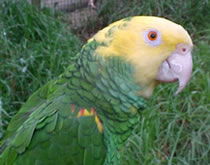 Gorge Wildlife Park - Accommodation Fremantle 3