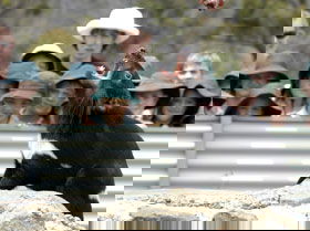 Tasmania Zoo - Accommodation Fremantle 0