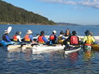 Sydney Harbour Kayaks - Accommodation Fremantle 2