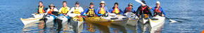 Sydney Harbour Kayaks - Accommodation Fremantle 3