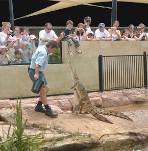 Symbio Wildlife Gardens - Accommodation Fremantle 3