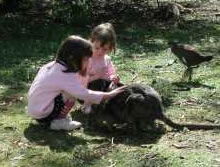 Urimbirra Wildlife Park - Accommodation Fremantle 1