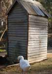 Wagga Wagga Zoo - Accommodation Fremantle 2