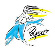 Polperro Dolphin Swims - Accommodation Fremantle 0