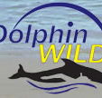 Dolphin Wild - Accommodation Fremantle