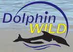 Dolphin Wild - Accommodation Fremantle 0