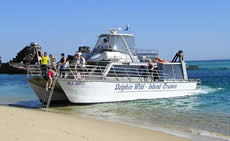 Dolphin Wild - Accommodation Fremantle 2