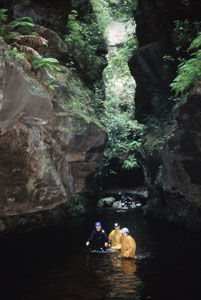 High And Wild Mountain Adventures - Accommodation Fremantle 1