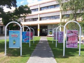 Cadbury Chocolate Factory Tour - Accommodation Fremantle 2
