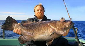 Bravo Fishing Charters - Accommodation Fremantle 0