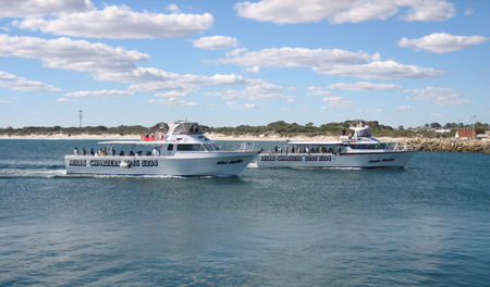 Mills Charters Fishing And Whale Watch Cruises - Accommodation Fremantle 2