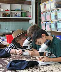 Australian National Botanic Gardens - Accommodation Fremantle 2