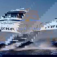 Sunshine Coast Fishing Charters - Accommodation Fremantle 0