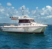 Sunshine Coast Fishing Charters - Accommodation Fremantle 1