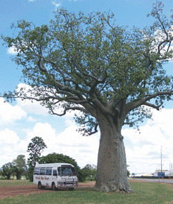 Kununurra Cruises - Accommodation Fremantle 1