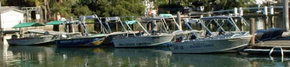 Brooklyn Central Boat Hire & General Store - Accommodation Fremantle 1