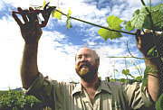 Barossa Valley SA Accommodation Fremantle
