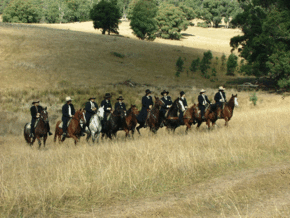 McCormacks Mountain Valley Trail Rides - Accommodation Fremantle