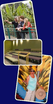 Big Banana - Accommodation Fremantle 2