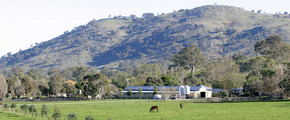 Blue Gum Farm - Accommodation Fremantle 1