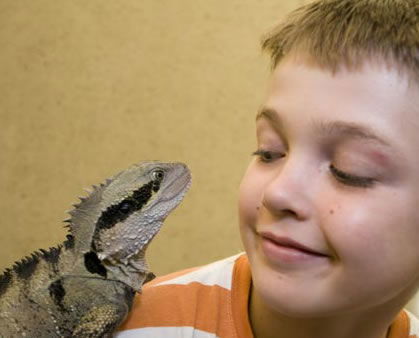Geckoes Wildlife Presentations - Accommodation Fremantle 2