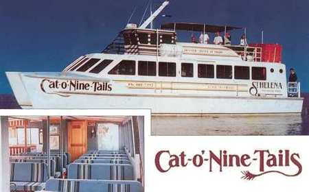 Cat O' NineTails - Accommodation Fremantle 1