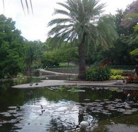 Brisbane City Botanic Gardens - Accommodation Fremantle