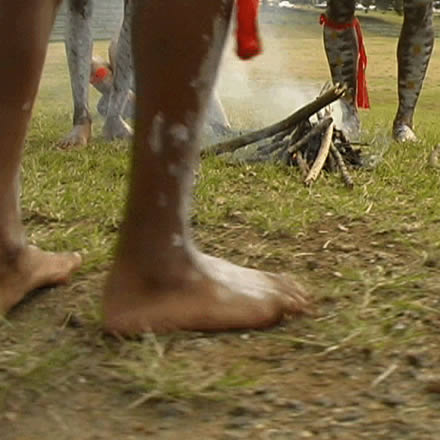 Musgrave Park Cultural Centre - Accommodation Fremantle 1