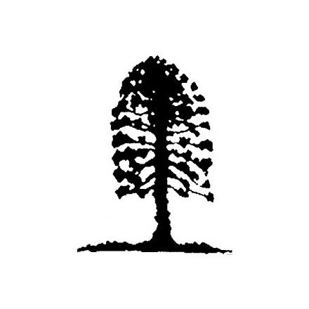 Musgrave Park Cultural Centre - Accommodation Fremantle 2