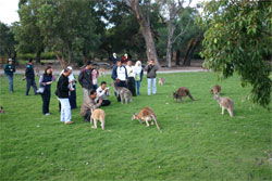 Caversham Wildlife Park - Accommodation Fremantle 2