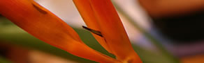Darlinghurst NSW Accommodation Fremantle