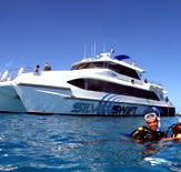 Silver Swift - Accommodation Fremantle
