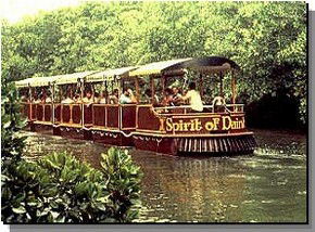Daintree Rainforest River Trains - Accommodation Fremantle 0
