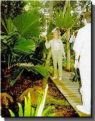 Daintree Rainforest River Trains - Accommodation Fremantle 1