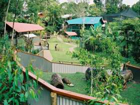 Kuranda Koala Gardens - Accommodation Fremantle 1