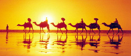 Banksia Adventures - Accommodation Fremantle 1