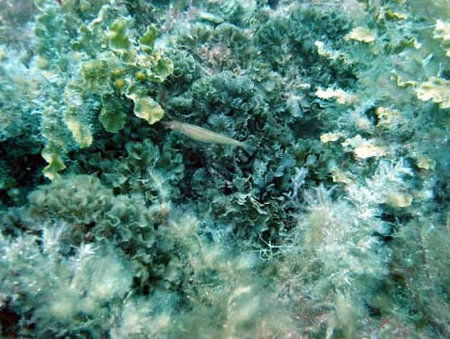 Underwater Sports Diving Centre - Accommodation Fremantle 3