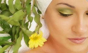Indica Spa - Accommodation Fremantle 1