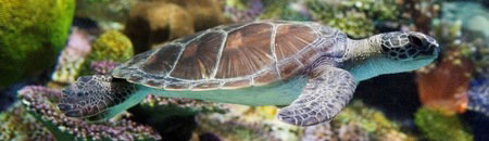 Melbourne Aquarium - Accommodation Fremantle 1