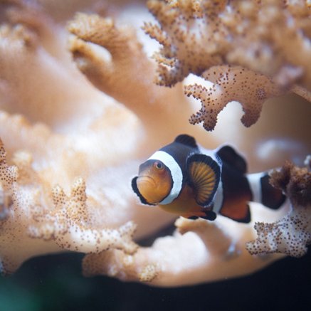 Melbourne Aquarium - Accommodation Fremantle 2