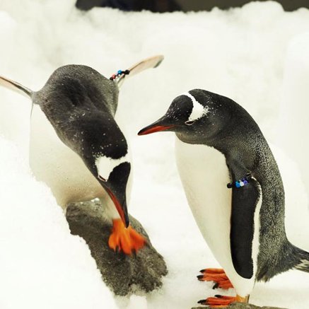 Melbourne Aquarium - Accommodation Fremantle 3