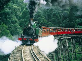 Gray Line Tours Melbourne - Accommodation Fremantle 1