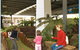 Wetlands Mini Golf - thumb 1