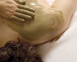 Alkaline Spa & Clinic - Accommodation Fremantle 2