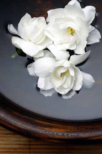 Temple Skincare - Accommodation Fremantle 2