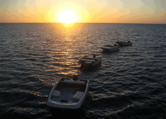 Carlo Fishing Charters - Accommodation Fremantle 2