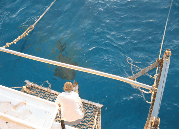 Carlo Fishing Charters - Accommodation Fremantle 4