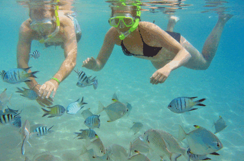 Australian Kayaking Adventures - Accommodation Fremantle 2